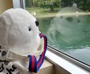 モームリ！仕事でミスして怒られたお話しお聴きします 接客歴10年✨仕事が辛い！辞めたい！だから、1人で悩まないで イメージ3