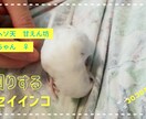 サムネイル１枚と挿入画像４枚納品します ブログで使う一式を格安で制作します！ イメージ3