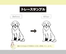 ロゴ・イラストをAIデータへトレースします 印刷に使えるAIデータを作成します イメージ8