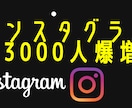 インスタグラムのフォロワー3000人増やします 【30日間減少保証付き】☑️フォロワー☑️世界中拡散 イメージ1