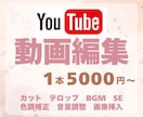 高品質のYouTube動画編集します テンポよく、センスよく。“最後まで見たくなる”動画に。 イメージ1