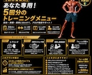 ジム・自宅対応！5回分の筋トレメニューを作成します 時間・目的・環境に合わせた完全オーダーメイド&動画・添削付き イメージ3