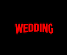 NETFLIX風 結婚式ムービーを作成します 誰もが知るネトフリのパロディムービーで式場を盛り上げよう！ イメージ3