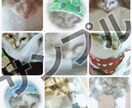 愛猫の写真あげます ペットを飼いたくても飼えない方写真だけでも癒やされませんか？ イメージ1