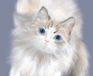 愛猫さんのイラストを描きます ちょっぴりリアルでおしゃれな雰囲気に仕上げます イメージ4