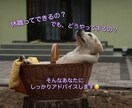 休職は”逃げ”じゃない♡経験者がアドバイスします 休職に関して悩んでいる事、ひとりで抱えずお気軽にご相談下さい イメージ1