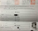 日中翻訳をします バイリンガールが翻訳をします気軽にコメントください イメージ2