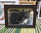 動物イラスト描きます 油絵や色鉛筆などを使って手元に残せる作品をお届けします イメージ5