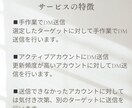 平日5日間でDM送信の代行を致します 面倒なDM送付を代わりに行います！ イメージ4