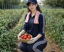 職業系の同一人物風AI画像作りますます 職業別・色違い・ポーズ違い対応 イメージ3