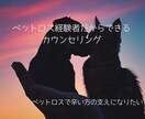 ペットロスで涙が止まらない方のお話聞きます 元ペットロス経験者！あなたの気持ちに寄り添います イメージ1