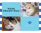 アニマルコミュニケーションします その行動、ちゃんと理由があります イメージ1