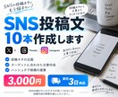 SNSで伝わる投稿文を10本作成します 投稿ネタから文章まで、SNS発信をまとめてサポート イメージ2