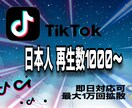 日本人の再生を1万回増えるまで宣伝します まずは1000回から！振り分けやスピード調整も可能✨ イメージ1