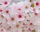 話し相手になります 愚痴でも何でも大丈夫。あなたの今の気持ちを教えて下さいね。 イメージ1