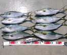 ワラサのコマセ釣りの必釣！爆釣！の仕掛け教えます 付けエサの次に大事なのはハリ、ハリス、ビシ、天秤です。 イメージ4