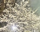 返信にモヤモヤしてるあなた片思い相談受けます 片思い・LINEの返信に悩むあなたへ優しくお話聞きます イメージ1