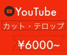 YouTubeのカット、テロップ入れます 逆に、カット、テロップさせてください イメージ1