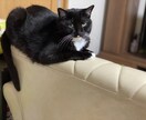 愚痴や悩みをお聞きします 誰かと雑談したいとかも歓迎です♪ イメージ4