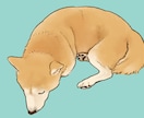 犬・猫ちゃんのイラスト描きます 鉛筆＋水彩のアナログタッチで（iPad使用） イメージ7