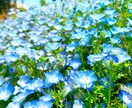 嫌な上司、腹立つ同僚への愚痴聞きます 心の重りを少しでも軽くするお手伝いをさせてください イメージ9