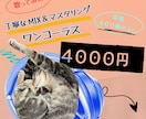 shortワンコーラスMIX&マスタリングします short動画にオススメ☆何度も聴きたくなる曲を目指します！ イメージ1