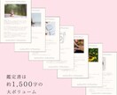 限定3名｜四柱推命×タロットで【適職鑑定】をします “本当の自分”を知ることで、少し前に進める気がするあなたへ イメージ5