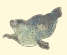 アナログ風の動物イラストを描きます お好きな動物の写真からあたたかみのあるイラストを描きます! イメージ9