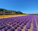 ヒーラー歴15年　チャクラやオーラを整えます 宇宙からのメッセージをお伝えいたします♡ イメージ7