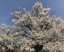 一問一答・霊感透視でチャネリングより視ます 霊感透視で人間関係、恋愛、仕事の悩みに対応いたします。 イメージ6