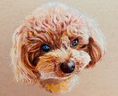 アクリル画でペット(猫・犬)の似顔絵を手描きします クラフト紙をベースにリアルで温かみのある絵です イメージ7