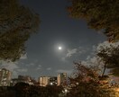 ココナラだからできる割安鑑定！リーディングします 恋愛、仕事、進路、人間関係など悩みを色々お話しください◎ イメージ2