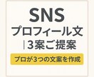 SNSプロフィール文を整えます 魅力を3秒で伝える文章をご提案 イメージ1