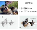 動物の似顔絵描きます 愛犬の誕生日、愛猫との日々、愛する家族と特別な思い出に イメージ3