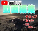 動画広告など編集いたします TikTok・ストーリーズなどの動画広告実績あり イメージ3