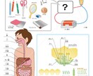 教材イラスト・カット制作いたします 教材にわかりやすいカットを添えて、勉強を楽しくしましょう イメージ5