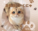 猫のお悩み相談室「にゃ〜」で聞きます 深いお悩みも「猫」に相談すると軽く解決するかもにゃ〜 イメージ9