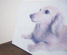 ペットの似顔絵描きます わんちゃんねこちゃん、またその他のペットの似顔絵を描きます イメージ2