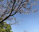 独学で公務員になった私が貴方を公務員に導きます 必ず合格を勝ち取る、予備校生には負けない独学の力教えます イメージ1
