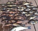 マイボートで海に出たい方！　質問にお答えします マイボートで休日は子供と釣り三昧！家族で新鮮な魚料理を味わう イメージ7