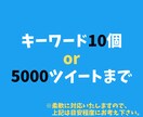 Twitterで過去に呟かれた内容をリスト化します 【特典付】希望のキーワードをTwitterで調べつくします！ イメージ4