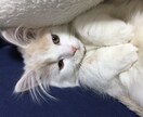 一人じゃないよ！私があなたを支えます 孤独や寂しさを一緒に乗り越えよう！【カウンセリング資格あり】 イメージ8