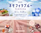 WEB画像制作します 「伝わるデザイン」を提案します！※モニター価格 1500円 イメージ8