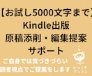 Kindle出版原稿の添削・編集提案をいたします 事前チャットでのお打ち合わせ可能です！ イメージ1