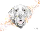 愛犬の似顔絵を、お気に入りの写真を元に描きます 鉛筆のようなタッチと不思議エフェクトで描かせていただきます イメージ1