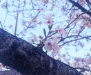 貴方の【傷つき閉ざしたハート】を開きます ワークを受けても手応えを感じられない時にも イメージ1