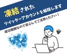 Twitterアカウントの凍結・ロック解除します 成功報酬なので安心してご利用いただけます イメージ1