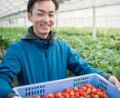 QS肥料を施用したイチゴ栽培のコンサルが出来ます 二度と困らない…栽培マニュアルを作成するサポートを致します! イメージ8