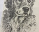 ペットの似顔絵描きます 愛ペットの似顔絵いかがですか？原画お送ります！ イメージ2
