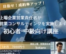 初心者〜中級者向け、営業コンサルします 何でも聞けるアドバイザー＆思考の壁打ちで営業力を強化させます イメージ1
